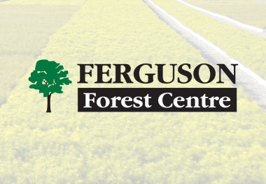 Ferguson Forest Centre